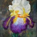 Collection Oil paintings 20x30 cm