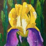 Collection Oil paintings 20x30 cm