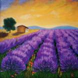 Collection Oil paintings 30x30 cm