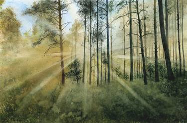 Sunlight in the forest, 57x38 cm thumb