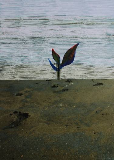 Print of Beach Paintings by Michel Raúl Villanueva