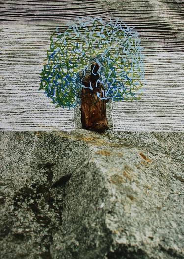 Print of Documentary Tree Paintings by Michel Raúl Villanueva