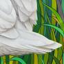 Swan feather detail