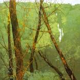Willows by Artem Rogowoi