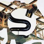 Collection Natty Oasis