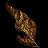 Spiral - Limited Edition of 15 by Lisa Folino