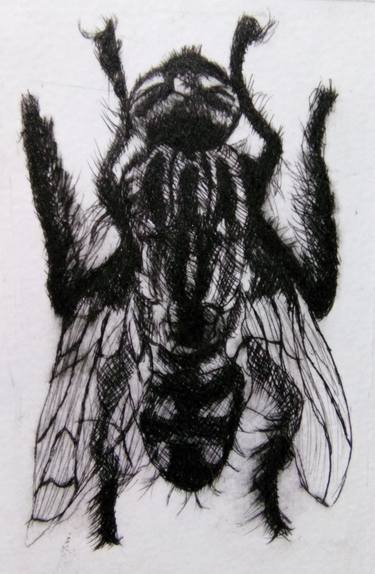 Print of Animal Printmaking by Daniel Mendoza