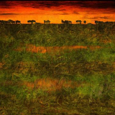 Great Migration - Limited Edition #25 of 30 Canvas Prints thumb
