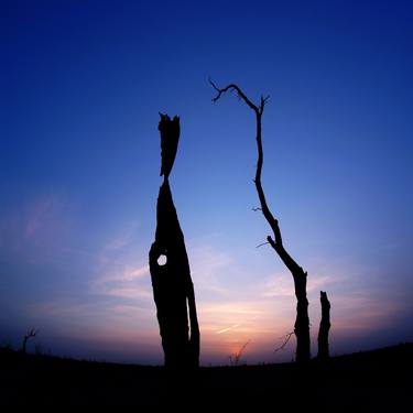 Print of Art Deco Landscape Photography by Vicky Yeow