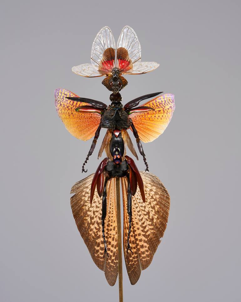 Original Surrealism Fantasy Sculpture by Cedric Laquieze