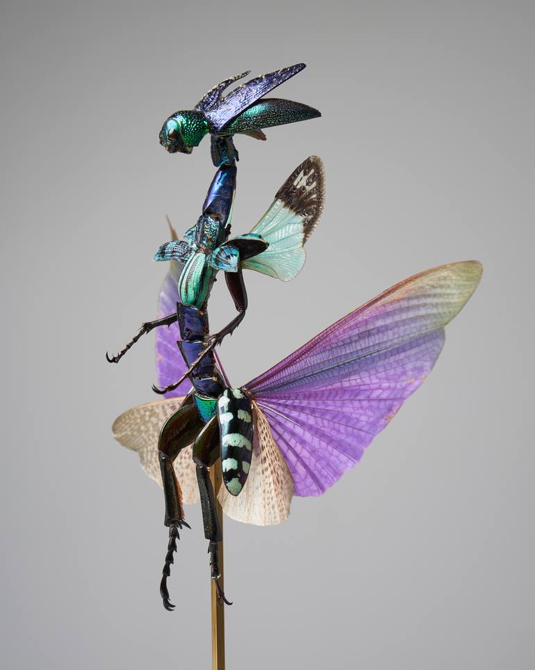 Original Surrealism Other Sculpture by Cedric Laquieze