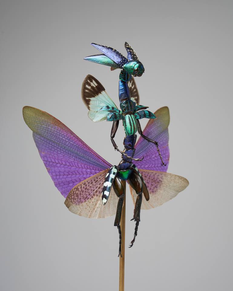 Original Surrealism Other Sculpture by Cedric Laquieze