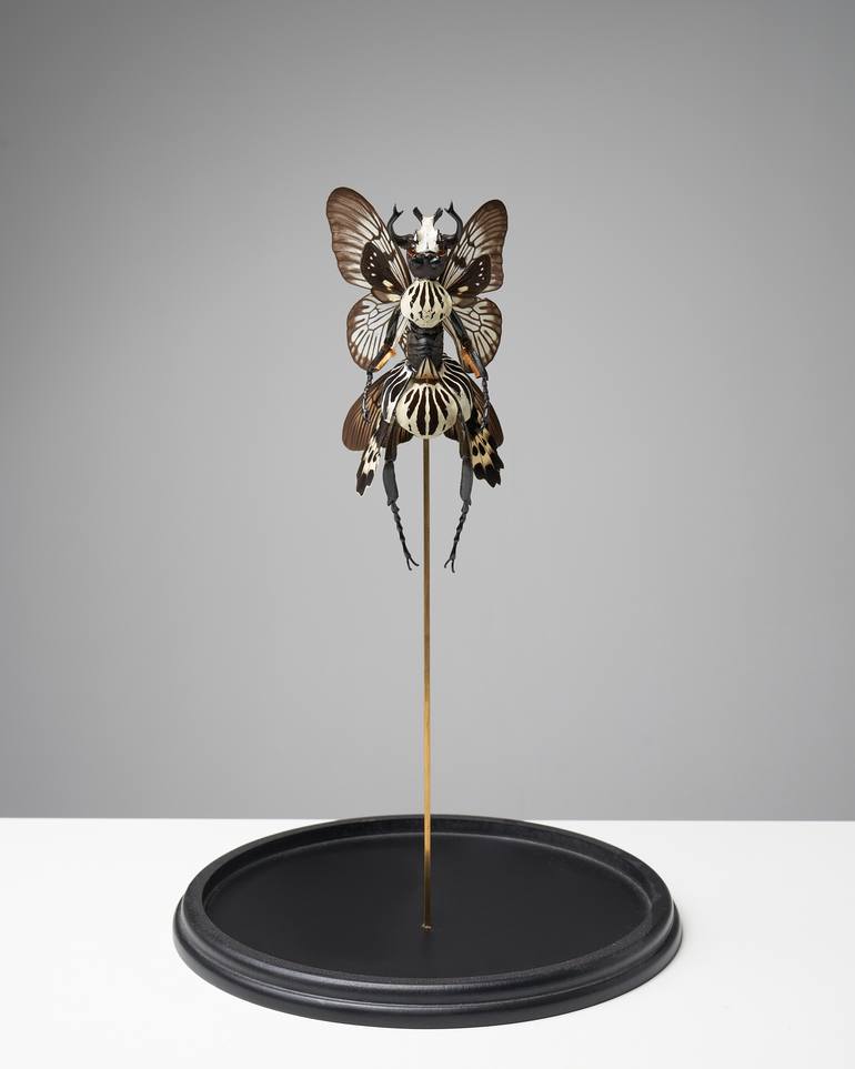 Original Surrealism Other Sculpture by Cedric Laquieze