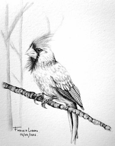 Bird in watercolor graphite pencil thumb