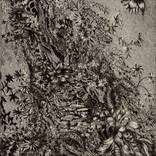 Overgrowth by Camille Lewis