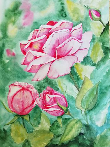 roses in my garden. watercolour thumb