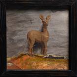 Bokkie | Deer by Albert Du Plessis