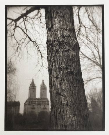 Central Park (Tree) - Limited Edition of 1 thumb