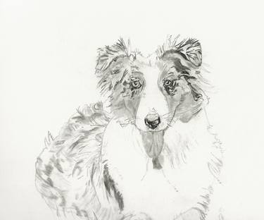 Original Illustration Dogs Drawings by Diane Goodman