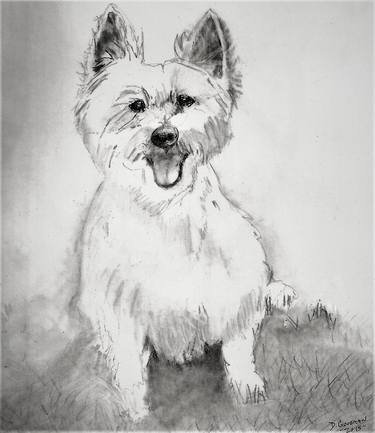Original Fine Art Dogs Drawings by Diane Goodman