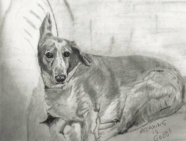 Print of Dogs Drawings by Diane Goodman
