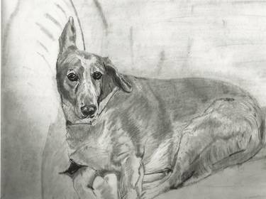 Print of Fine Art Dogs Drawings by Diane Goodman