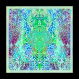 Collection The Forest Floor Collection: Limited Edition Giclées