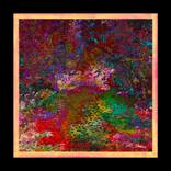 Collection The Forest Floor Collection: Limited Edition Giclées