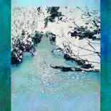 Collection The Roaming Kokanee Collection: Limited Edition Giclées