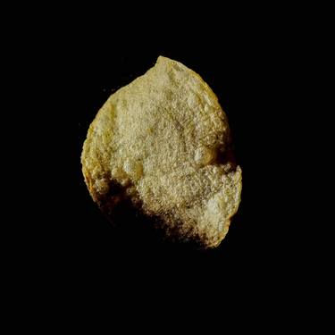 “ Potato chip #345 ” $ 1.000.000 USD negotiable price! thumb