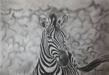 Original Fine Art Animal Drawings by Thembalami Ndlovu