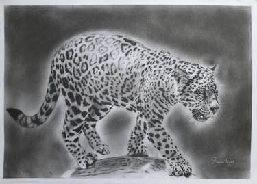 Original Animal Drawings by Thembalami Ndlovu