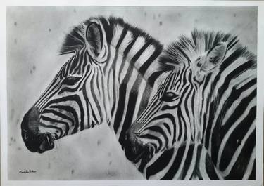 Original Realism Animal Drawings by Thembalami Ndlovu