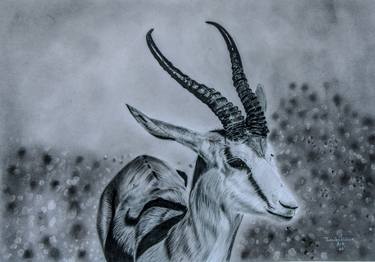 Original Realism Animal Drawings by Thembalami Ndlovu