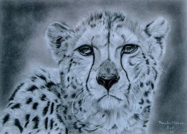 Original Realism Animal Drawings by Thembalami Ndlovu