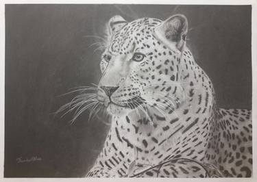 Original Realism Animal Drawings by Thembalami Ndlovu