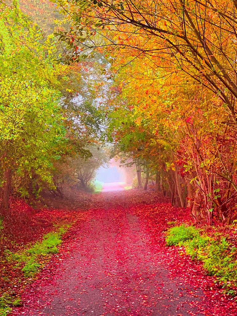 Autumn Walk - Limited Edition of 10 Photography by Maggie Hands ...