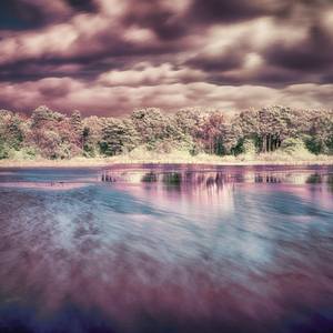 Collection Infra Red