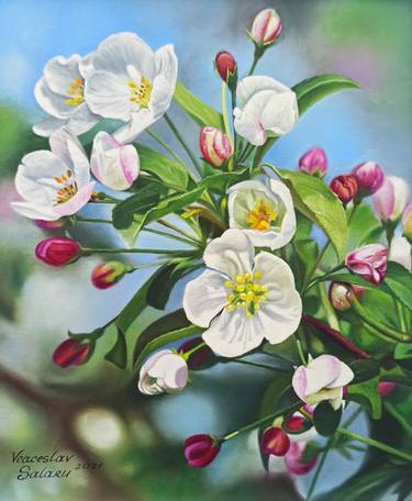 Print of Fine Art Floral Paintings by Veaceslav Salaru