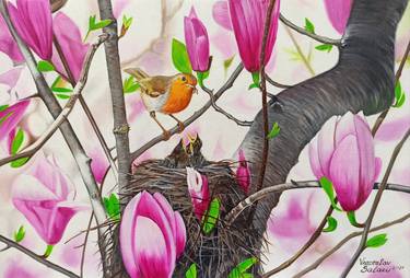 Robin in spring thumb