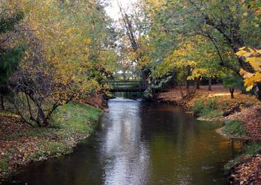 Fishtrap Creek in its autumn glory - Limited Edition of 12 thumb