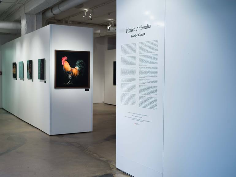 Original Figurative Animal Photography by Robby Cyron