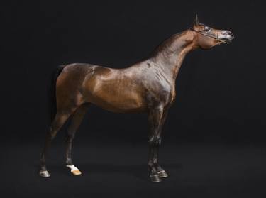 Original Figurative Animal Photography by Robby Cyron