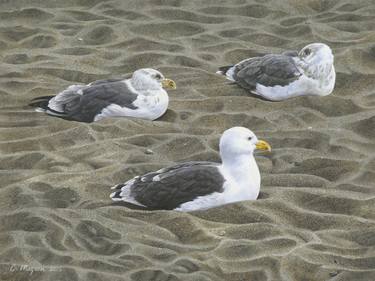 Three Seagulls thumb