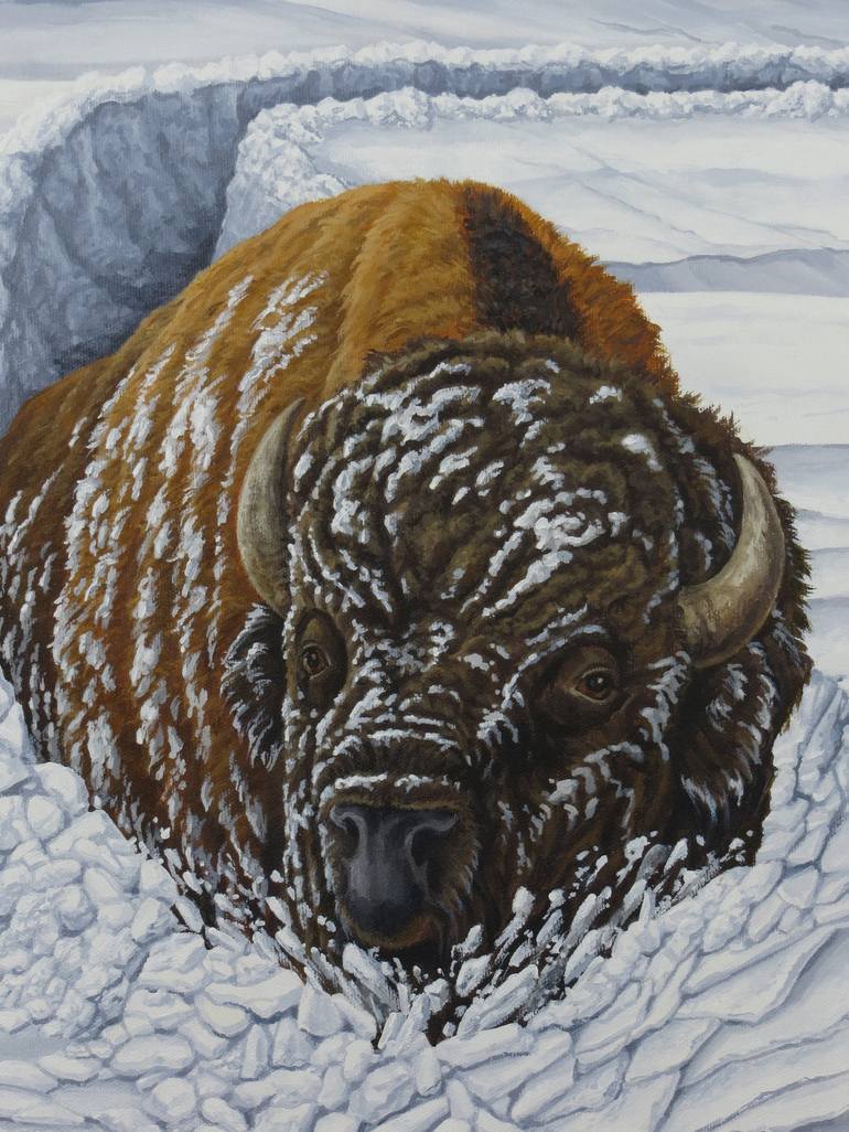 Original Realism Animal Painting by Craig Magoon