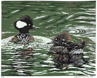 A Real Flair (Hooded Mergansers) thumb