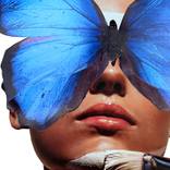 Miss Morpho by Amanda Johnstone