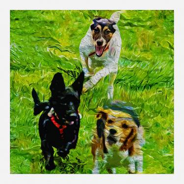 Print of Dogs Photography by Carlos Maciel