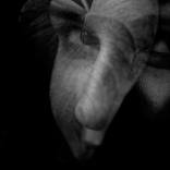 Untitled by Valentina Piccinni