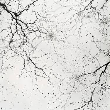 Original Artificial Intelligence Nature Digital by Stephen Redenti